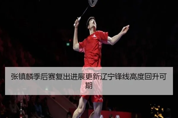 张镇麟季后赛复出进展更新辽宁锋线高度回升可期